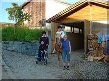 Therapeutisches Reiten